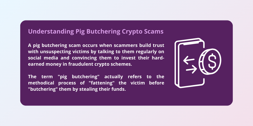 Crypto Scammers